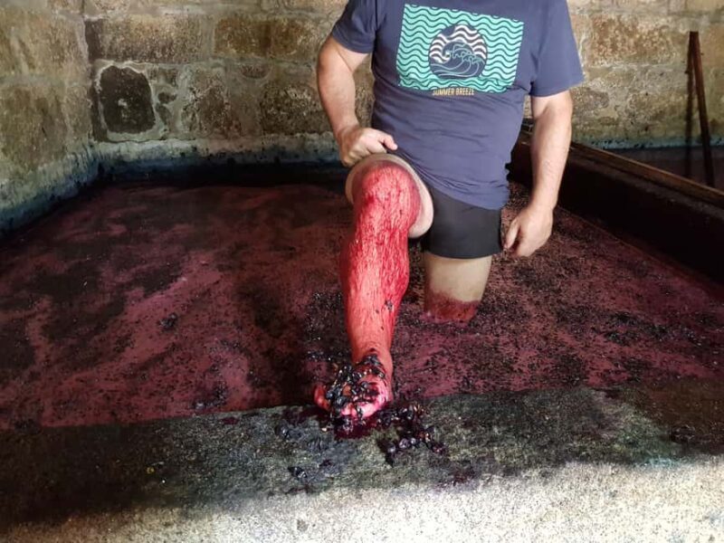 Porto: Green Wine Tasting and visit - Good To Know