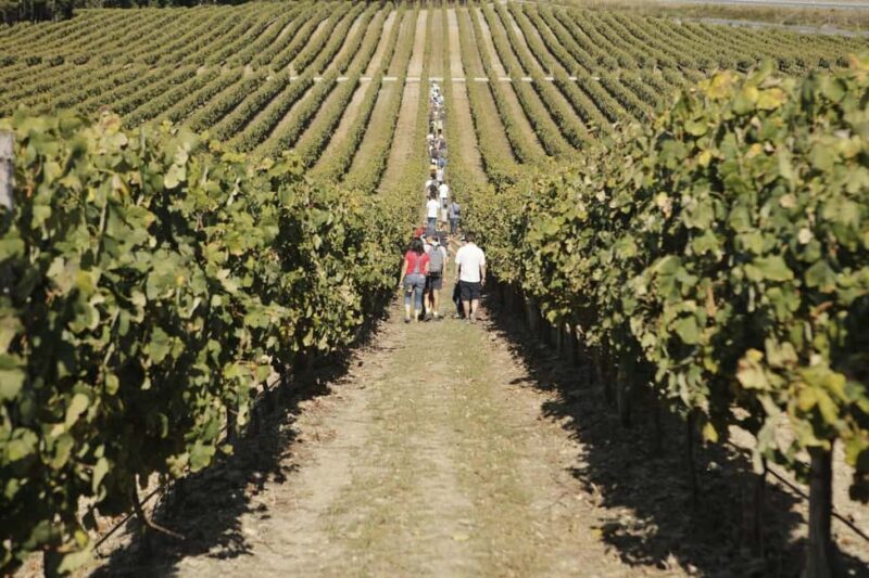 Porto: Green Wine Tasting and visit - FAQ