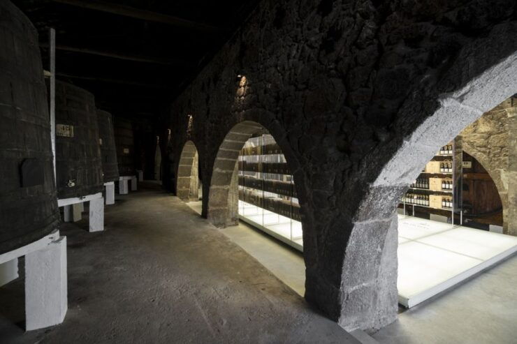 Porto: Guided City Walking Tour & Port Wine Cellar - Tour Details