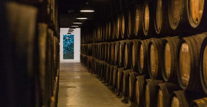 Porto: Guided Tour and Tasting of 3 Port Wines - Reviews and Feedback