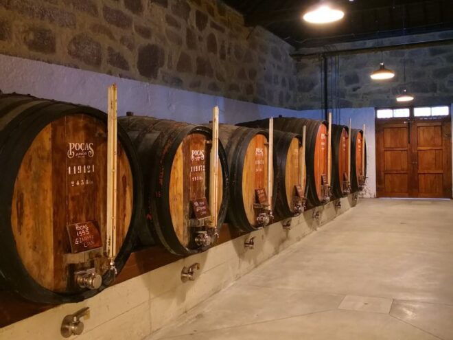 Porto: Guided Tour and Tasting of 3 Port Wines - The Sum Up