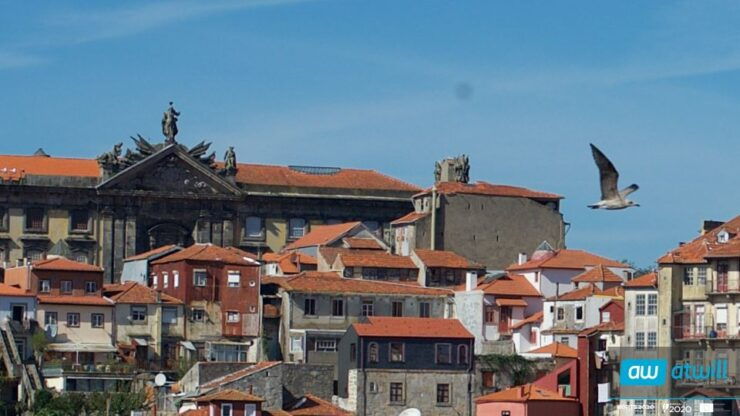 Porto: Half-Day Jewish Tour - Tour Highlights