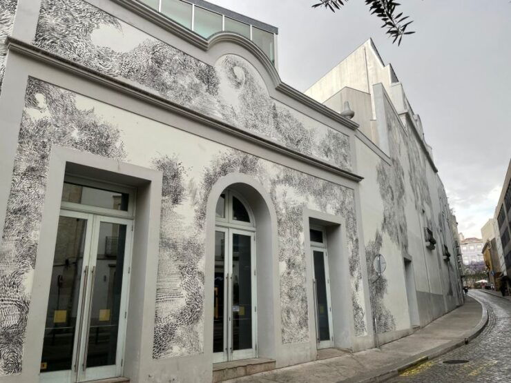 Porto: Half-Day Street Art Tour - Tour Details
