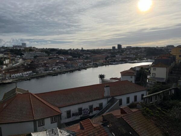 Porto Historic Area: Discovering Local Art and Culture - Local Art and Cultural Experiences
