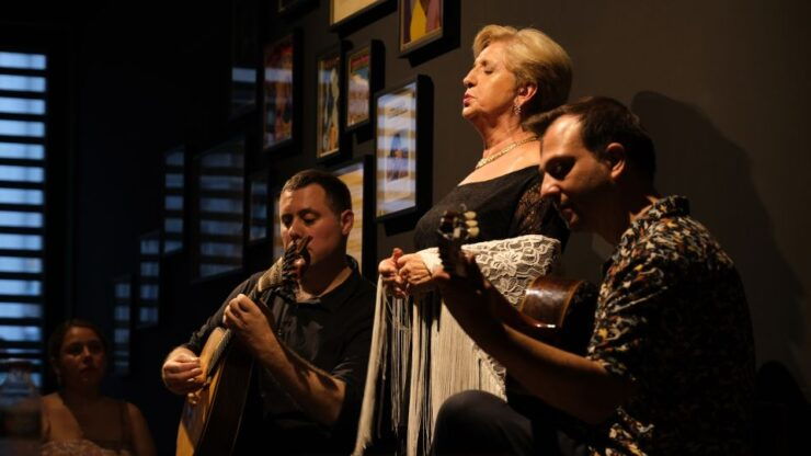 Porto: Intimate Fado Concert Ticket With a Glass of Wine - Ticket Details