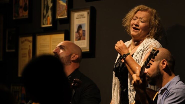 Porto: Intimate Fado Concert Ticket With a Glass of Wine - Experience Highlights