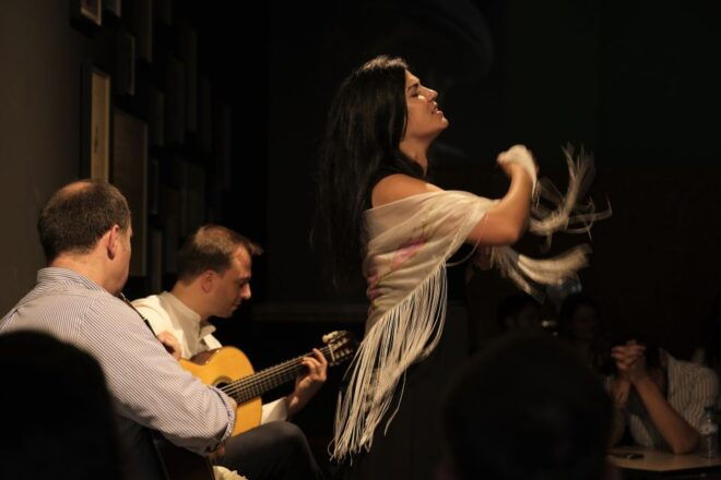 Porto: Intimate Fado Concert Ticket With a Glass of Wine - Review Summary