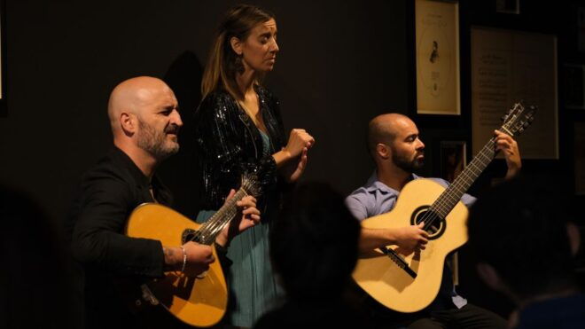Porto: Intimate Fado Concert Ticket With a Glass of Wine - Key Features