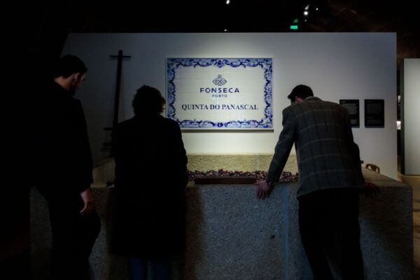 Porto: Live Fado Show, Port Wine, and Dinner at Fonseca - Customer Reviews and Recommendations