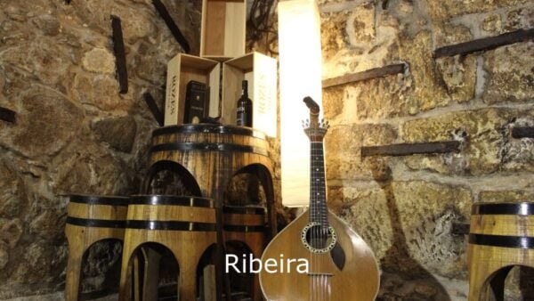 Porto: Live Fado Show With Glass of Port Wine - Common Questions