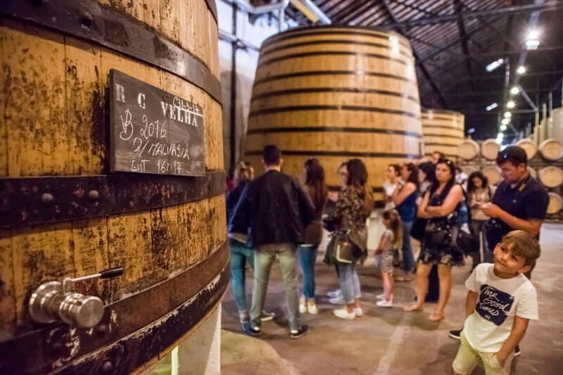 Porto: Magic Train Tour and Port Wine Cellar with Tastings - An In-Depth Look at the Tour Itself
