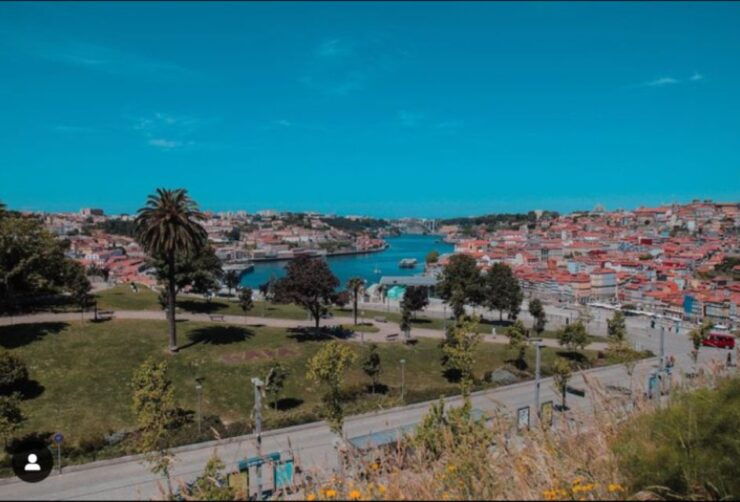 Porto: Monuments, Landmarks, and Cuisine Tour - Pricing and Duration