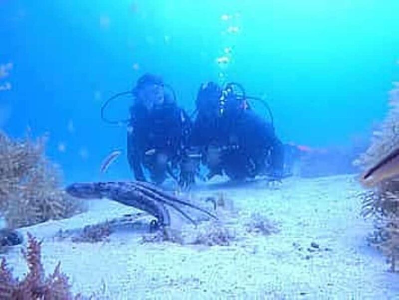 Porto: My first Scuba Dive in the Ocean - What’s Included and Why It Matters