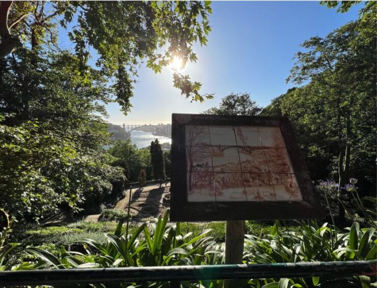 Porto: Mysteries, Legends, and Crimes Walking Tour - Experience Highlights