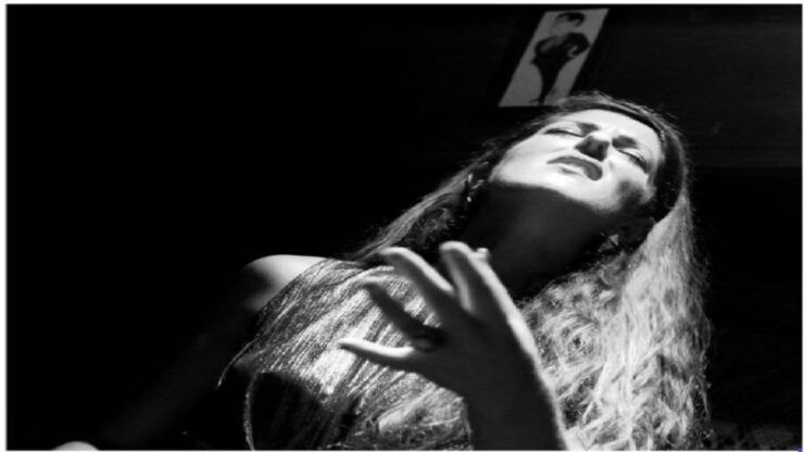 Porto: Night Tour With Traditional Dinner and Fado Show - Activity Details