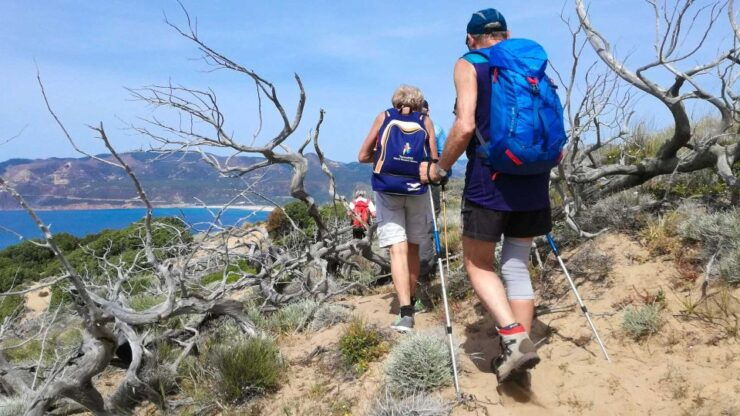 Porto Paglia: Tonnare Trail Guided Hiking Experience - Tour Details