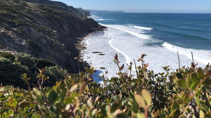 Porto Paglia: Tonnare Trail Guided Hiking Experience - Experience Highlights