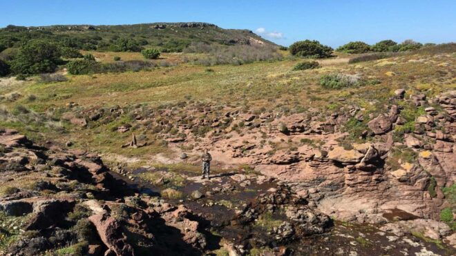 Porto Paglia: Tonnare Trail Guided Hiking Experience - Itinerary Overview