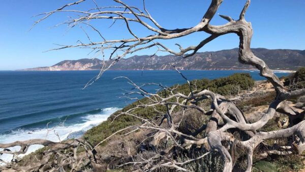 Porto Paglia: Tonnare Trail Guided Hiking Experience - The Sum Up