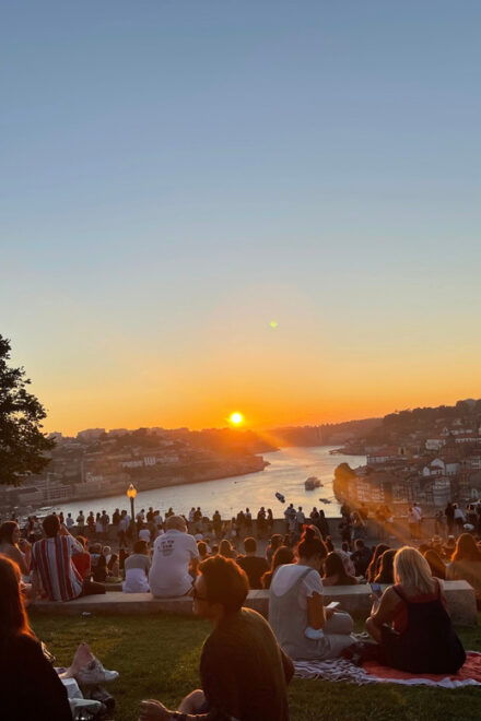 Porto: Picnic Experience in Jardim Do Morro - Group Size and Availability