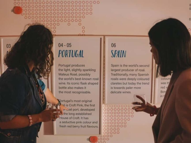 Porto: Pink Palace: The Eccentric World of Rosé Wine - Who Should Consider This Tour?