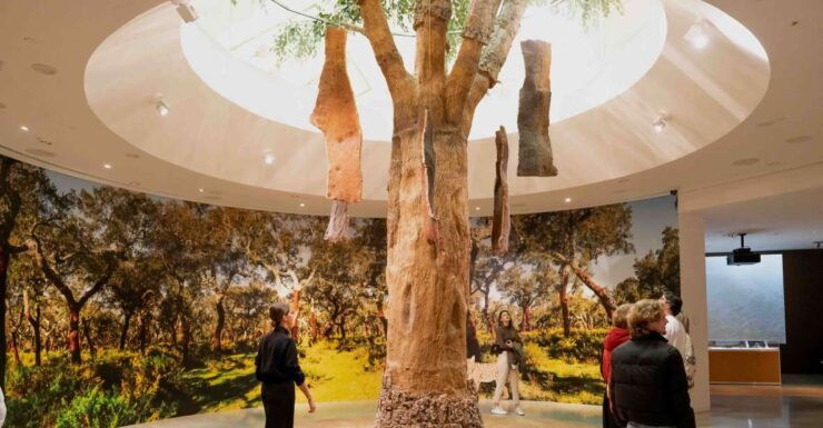 Porto: Planet Cork Entry Ticket at WOW - Ticket Details