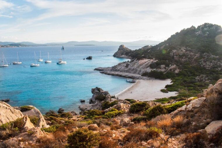 Porto Pollo: La Maddalena Islands Snorkeling Tour - What’s Included and What to Bring
