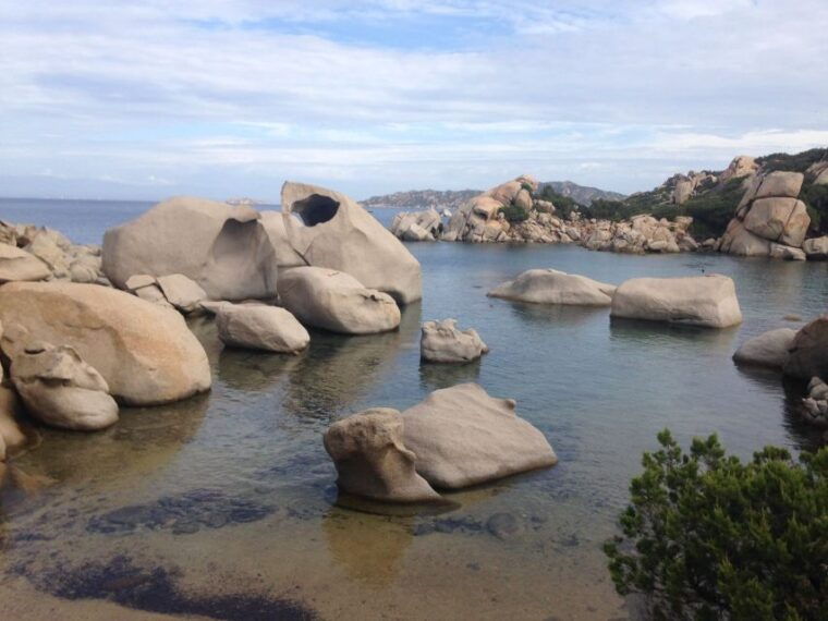 Porto Pollo: La Maddalena Islands Snorkeling Tour - Why This Tour Offers Great Value