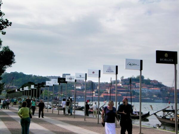 Porto: Port and Douro Wine Walking Tour With Tastings - The Sum Up