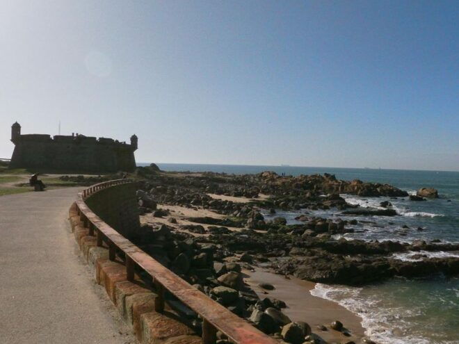 Porto + Port Cellar Visit and Tasting + Sardine Factory Tour - Booking Information