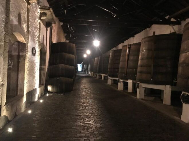 Porto + Port Cellar Visit and Tasting + Sardine Factory Tour - Activity Inclusions