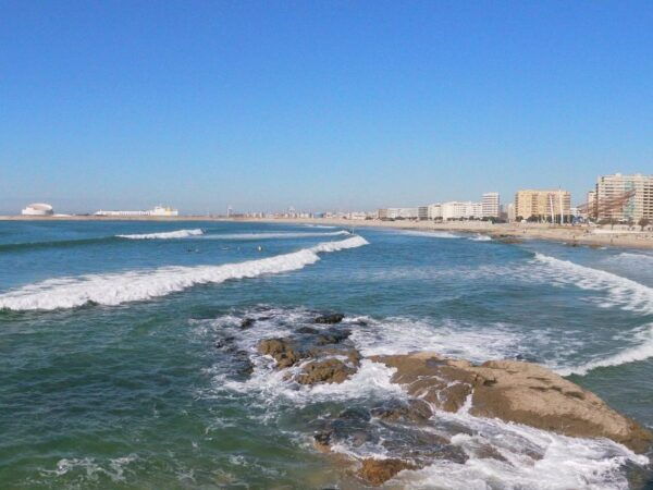 Porto + Port Cellar Visit and Tasting + Sardine Factory Tour - The Sum Up