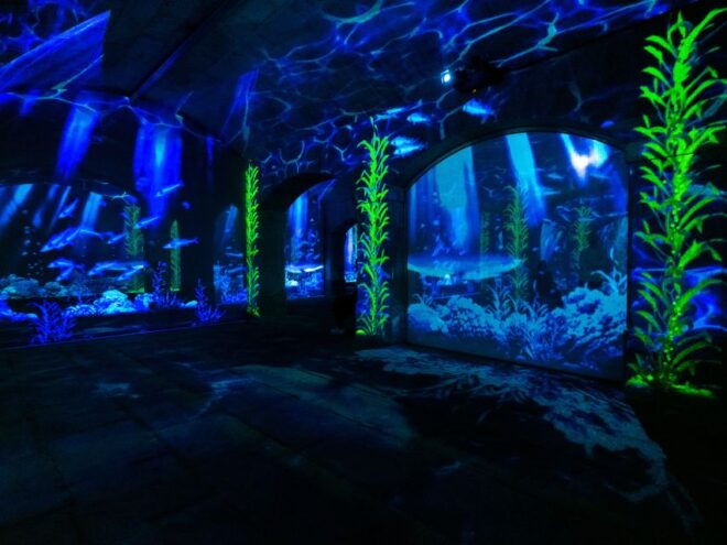 Porto: Porto Legends The Underground Experience - Additional Information