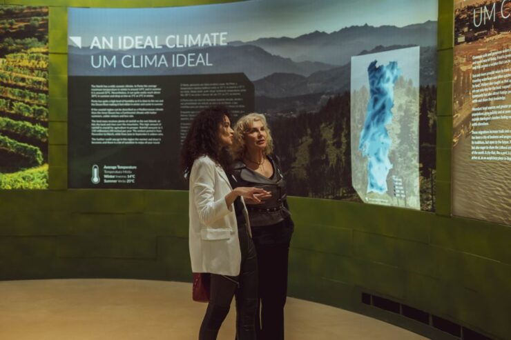 Porto: Porto Region Across The Ages Entry Ticket at WOW - Experience Portos Culture and History