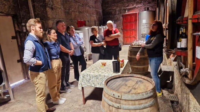 Porto: Premium Douro Valley Small-Group Tour, Cruise & Lunch - Why This Tour Stands Out