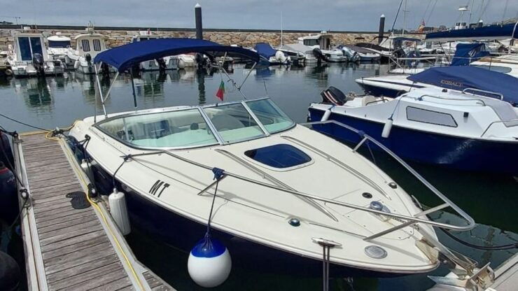 Porto: Private Cruise on Douro River - Family & Friends - Experience Description