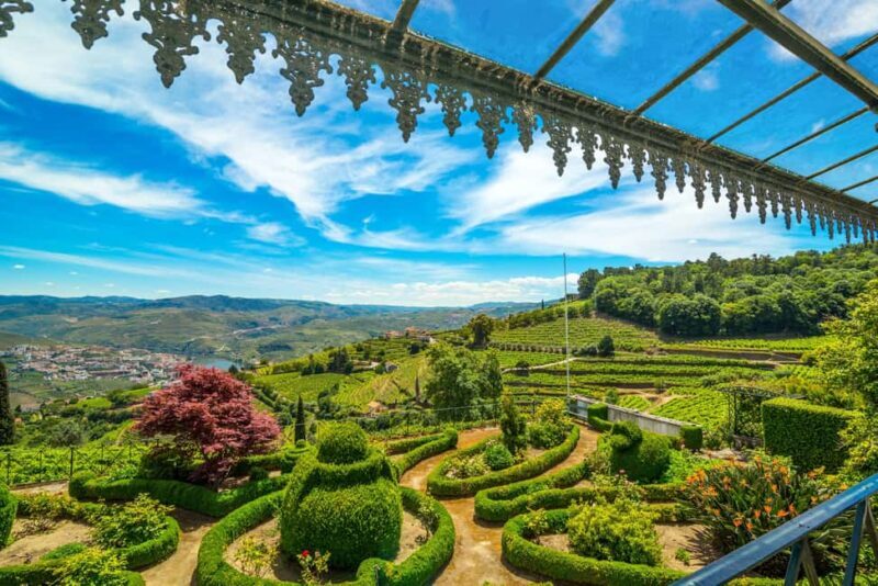 Porto: Private Cultural Lunch & Wine Tasting at Douro Valley - Good To Know