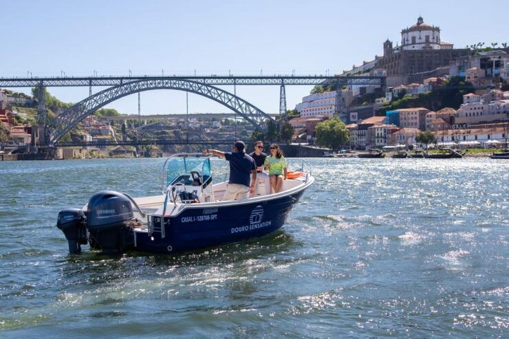 Porto: Private Douro River Cruise With a Local Skipper - Experience and Highlights