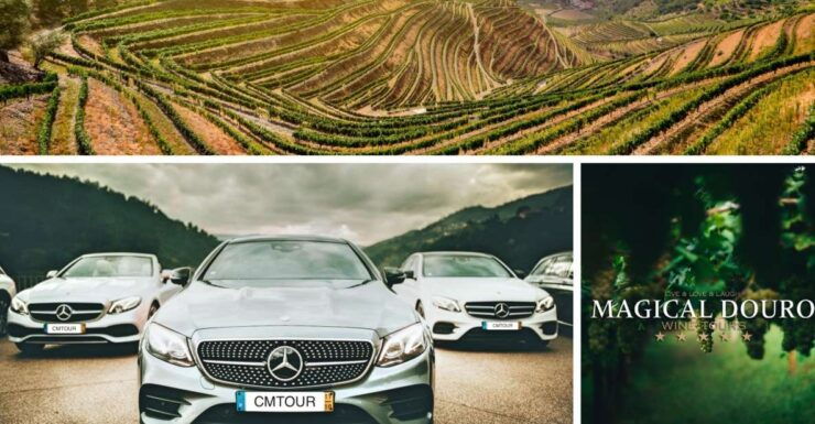 Porto: Private Douro Valley Day With Lunch - Cancellation Policy