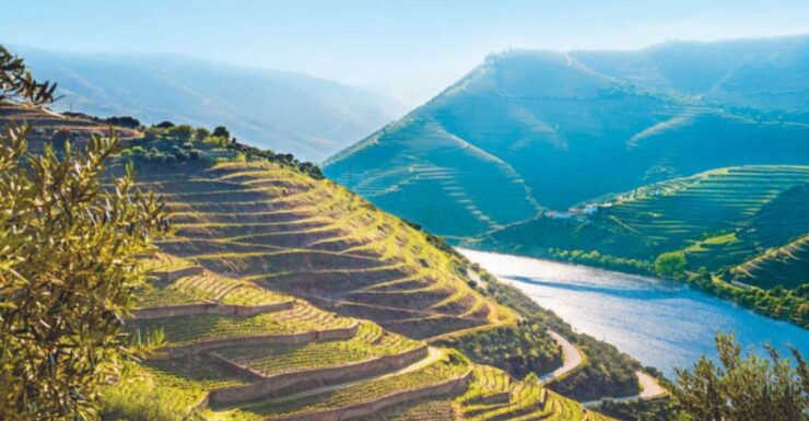 Porto: Private Douro Valley Tour, Yacth, Wine Taste & Lunch - Tour Description