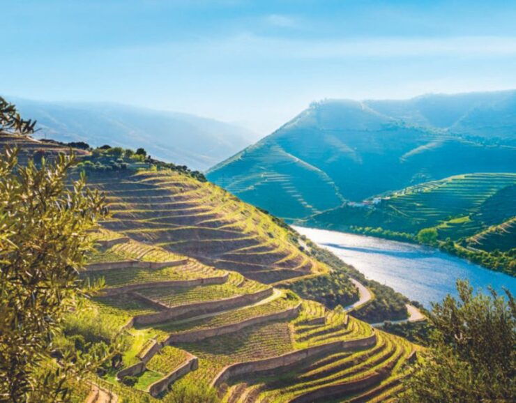 Porto: Private Douro Valley Tour, Yacth, Wine Taste & Lunch - Cancellation Policy