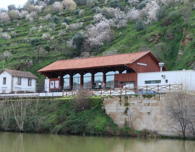 Porto: Private Douro Valley Tour, Yacth, Wine Taste & Lunch - Important Information