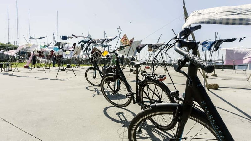 Porto Private E-Bike Tour: Douro River, Parks & Beaches - The Sum Up: Who Will Love This Tour?