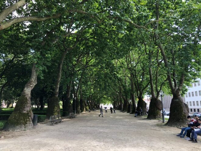 Porto: Private Guided City Walking Tour - Inclusions and Restrictions