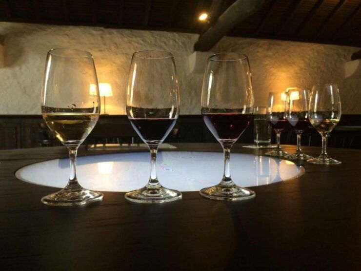 Porto: Private Guided Wine-Tasting Tour - Language Options and Private Group Availability