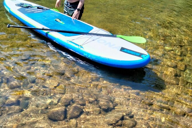 Porto Private Stand-Up Paddle River Tour With Pickup - Customer Reviews