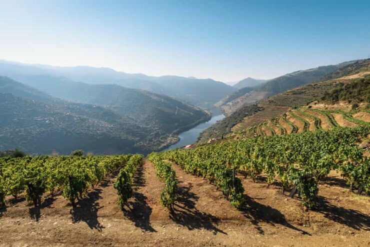 Porto: Private Tour, Boat, Two Wine Tastings, Lunch & Views - Good To Know