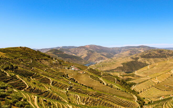 Porto: Private Tour, Boat, Two Wine Tastings, Lunch & Views - First Wine Tasting