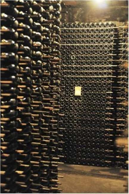 Porto: Private tour in Bairrada - From wine to suckling pig with tradition. - Introduction