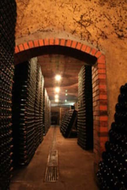 Porto: Private tour in Bairrada - From wine to suckling pig with tradition. - Good To Know